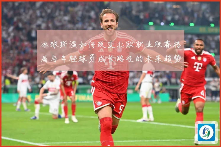 冰球斯温如何改变北欧职业联赛格局与年轻球员成长路径的未来趋势成长观察：最新赛事动态与深度分析